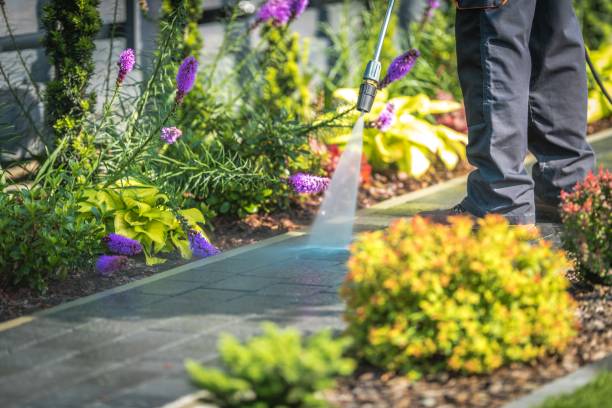 Best Restaurant Pressure Washing  in Beaufort, SC